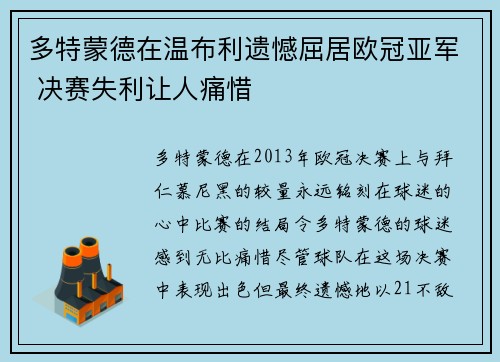 多特蒙德在温布利遗憾屈居欧冠亚军 决赛失利让人痛惜